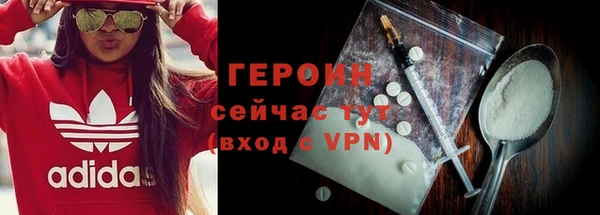 сатива Бородино