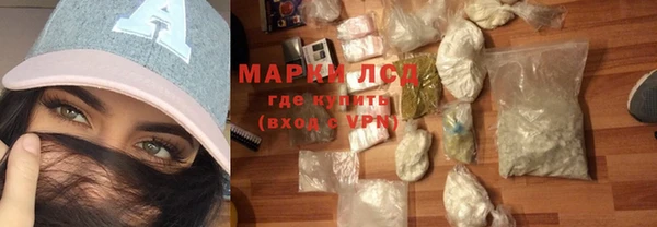 сатива Бородино