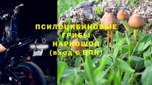 mdpv Бронницы