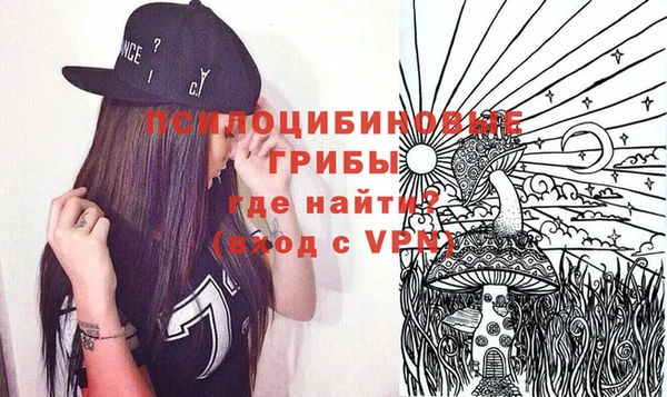 сатива Бородино