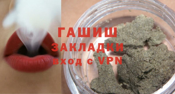 сатива Бородино