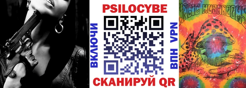 сколько стоит  Волосово  Псилоцибиновые грибы GOLDEN TEACHER 